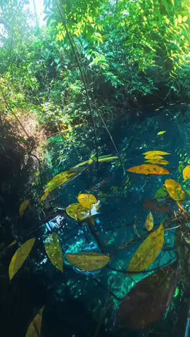 #UnderwaterVideo #DiveIn #AquaVibes #binhyen #iceland #canhdepthiennhien #UnderwaterShot #canhdep #Underwater #wallpaperaesthetic #wallpaper #aesthetic #relax #parati 