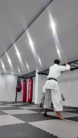 Khinh công là có thật #loitrankarate 