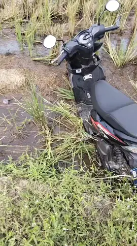 bajak baru Mereke Honda  #viraltiktok #fyppppppppppppppppppppppp #fypage #fyp #pov#ngakakkocak #kocak 