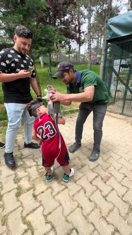 😂😂😂😂😂#يحيى_الزعبي 