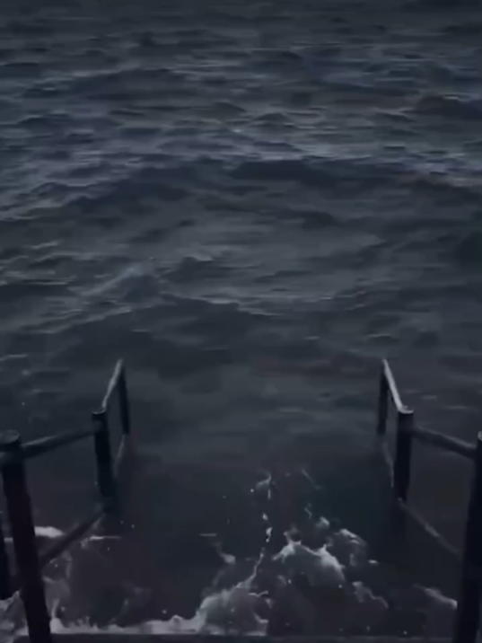 #🗿 #memee #memevideos #memereceh #memedaily #ngakaklucu #memes #memestiktok #asupanmeme #funnyvideos #humortiktok 