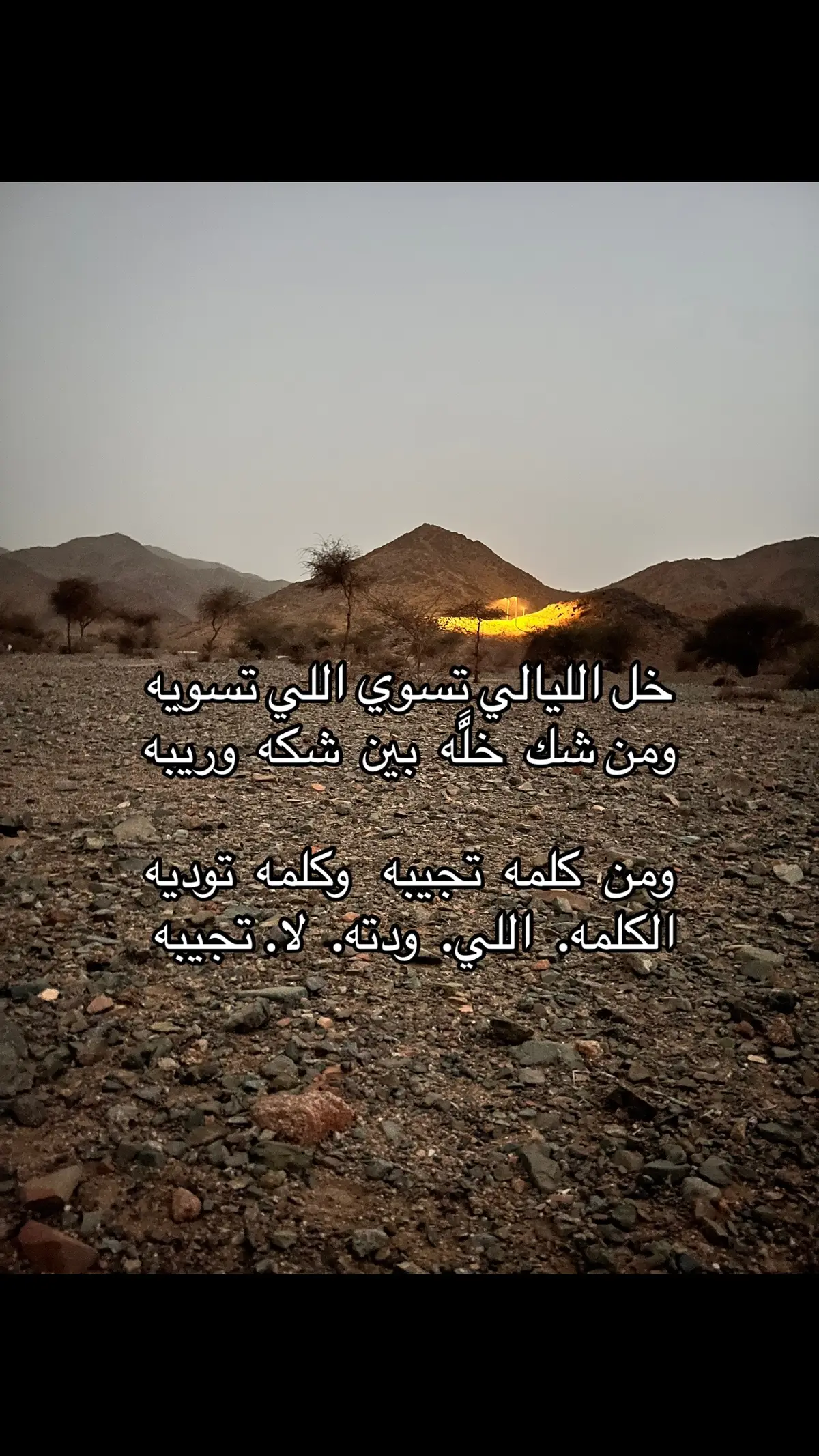 #fypシ゚viral #تصويري📸 #اكسبلورexplore 