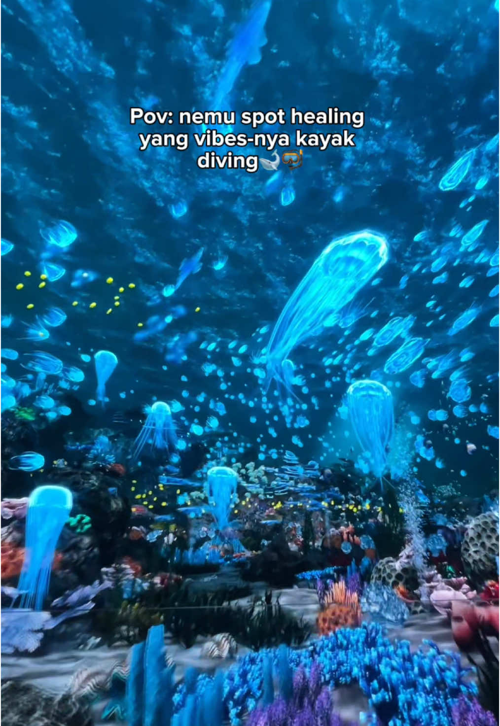 So gorgeous!🥹 #explorebatu #kwb #jalanjalanbatu #jatimpark2 #exploremalang #virtualimmersepark #fyp #foryou 