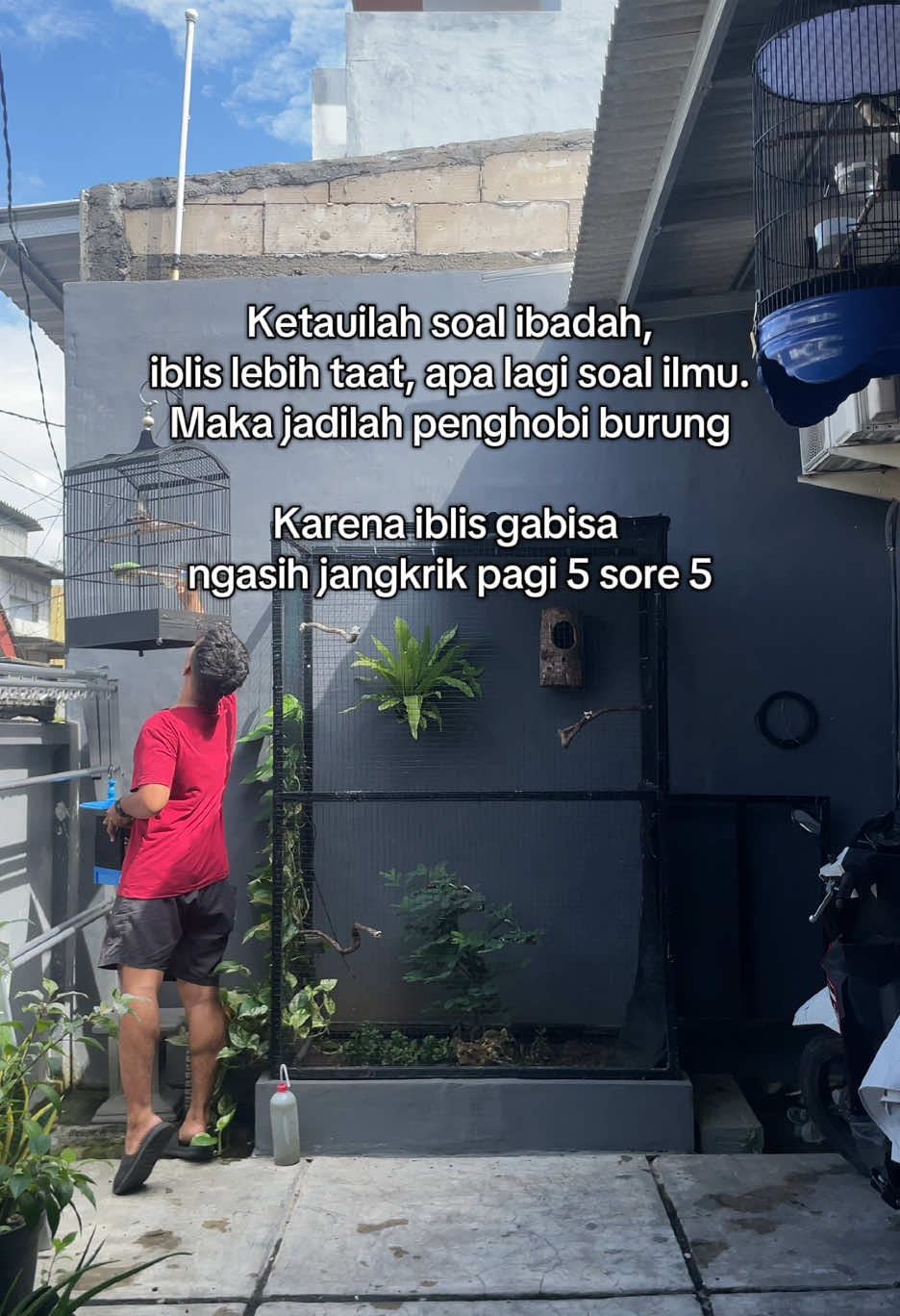 Pagi 5 sore 5 #kicaumania #kicaumaniaindonesia #burungcendet #burungpentet #aviarymini #fypage 