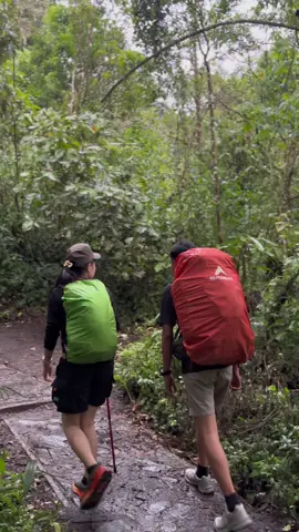 @Ayiiii  #bukitkaba1953mdpl♡ #pendakigunung #bukitkababengkulu #pendakiindonesia #mountain 