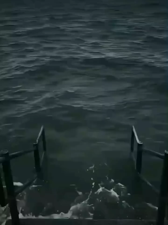 #🗿 #memee #memevideos #memereceh #memedaily #ngakaklucu #memes #memestiktok #asupanmeme #funnyvideos #humortiktok 