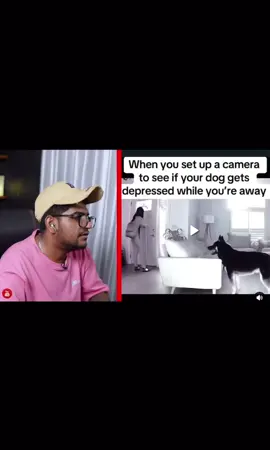 #thekota #thekotafans #thekotareact #thekotafunnyvideos #thekotamemes #thekotamemereact #slmedia #slmeme #srilanka #srilankan_tik_tok🇱🇰 #srilankatiktok #flypシ #viral #views 