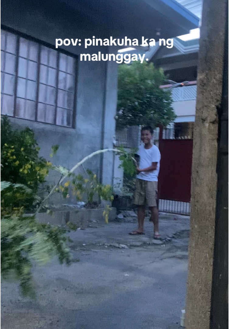 Malunggay nga naman kasi yan #fyp #fypage #fypviral 