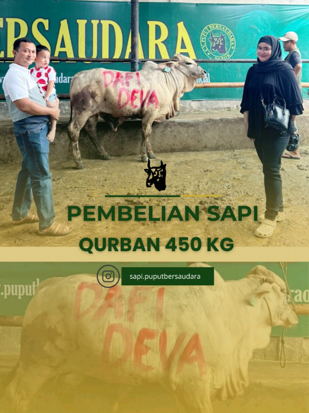 Alhamdulillah, sapi 450 kg an sold out lagi..  Terima kasih Pak Asep dan Bu Sheila atas kepercayaannya kepada CV Puput Bersaudara☺🙏 Semoga menjadi berkah untuk Pak Asep dan keluarga🤲 Yuk, segera amankan sapi Qurbanmu sekarang! Stok semakin menipis!  Langsung ke kandang👇 📍Jl. Caringin Gang Jagal, Rangkapan Jaya, Depok 📱085169624167 #CapCut #sapiqurban #sapijumbo #sapipedaging #sapisuper #qurban #qurban2025 #iduladha #iduladha2025 #fyp #fyppppppppppppppppppppppp #trendtiktok 