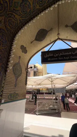 #علي_بن_ابي_طالب #النجف_الاشرف #صحن_الامام_أميرالمومنين_علي_بن_ابي #تصويري_احترافي_الاجواء👌🏻🕊😴 #تصويري📸 #العراق #مشاهير_ #مشاهير_تيك_توك #مشاهير_العالم 