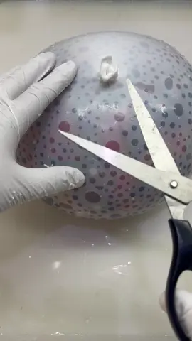 Oh no!!!#fyp #foryou #asmr #cut #satisfying #oddlysatisfying 