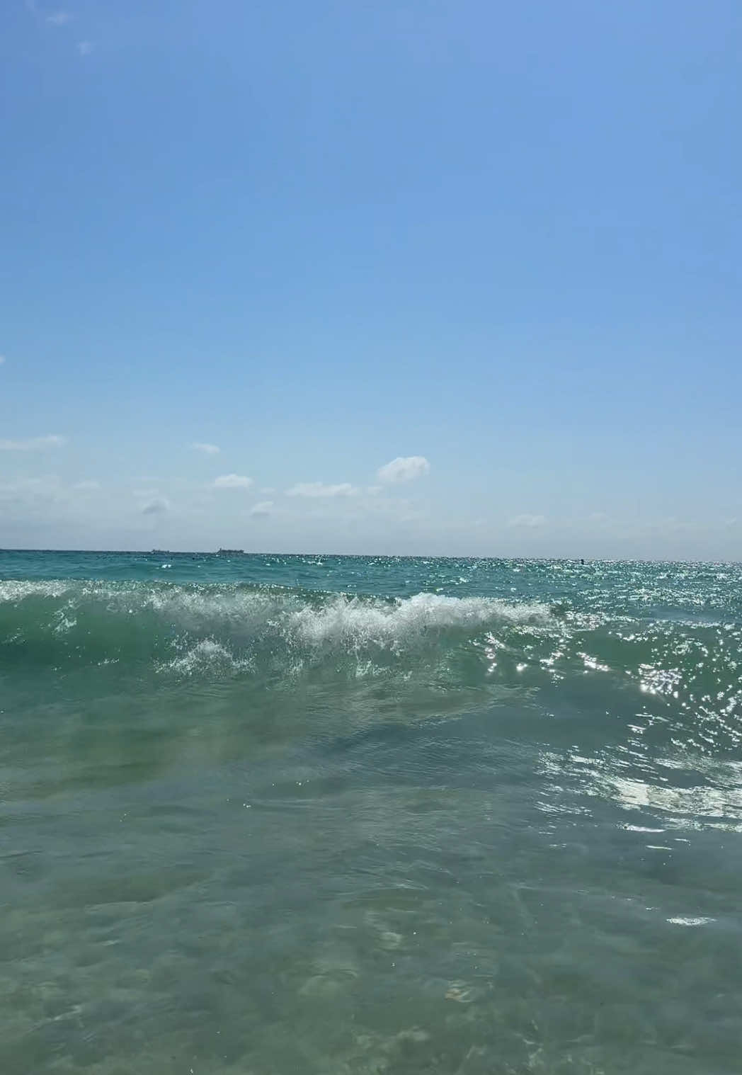Playing dolphins > playing mermaids  #miami #summervibes #floridalife 