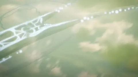 Part 1 | The rumbling | AOT #AttackOnTitan #fyp #eren 