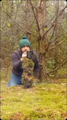#CapCut 