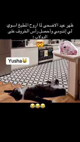 #مالي_خلق_احط_هاشتاقات #trend #الشعب_الصيني_ماله_حل😂😂 #viralvideo #foryoupage #مقاطع_ضحك #اكسبلور #مضحك #ترندات_تيك_توك #😂😂😂 #رياكشن #trending #ضحك #explore #trendingvideo #foryou #رياكشنات #viral #اكسبلور_تيك_توك 