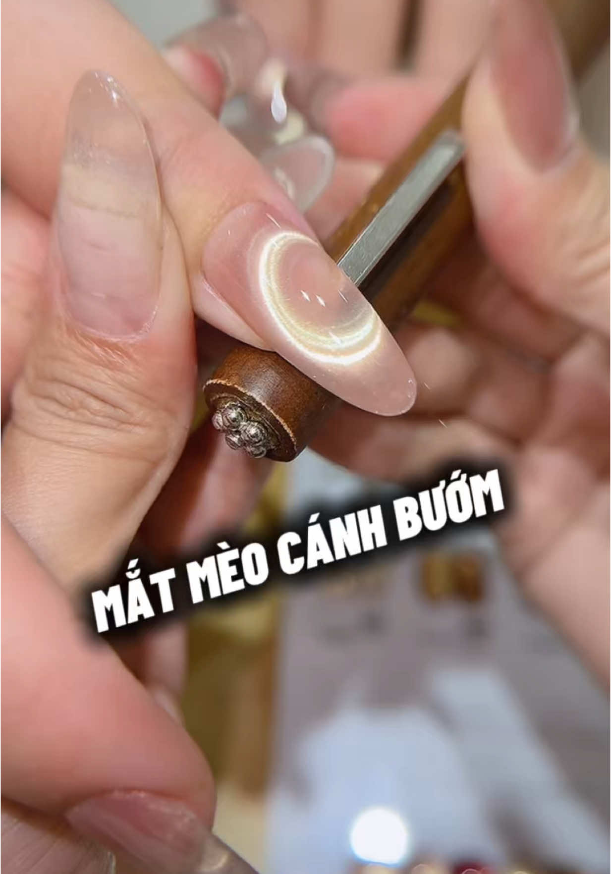 MẮT MÈO CÁNH 🦋 #nail #songel #sonmatmeo #xingme #thanhvyedana #xuhuongnail #thanhvynail #matmeocucquang 