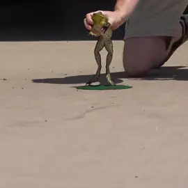 Rules: you have one minute to get the frog to jump. The frog must start completely on the pad. You cannot touch the frog once it leaves the pad. The distance is measured from the pad to the third leap, longest distance wins. Also, If you beat the world record you earn $20k #frog #frogjump