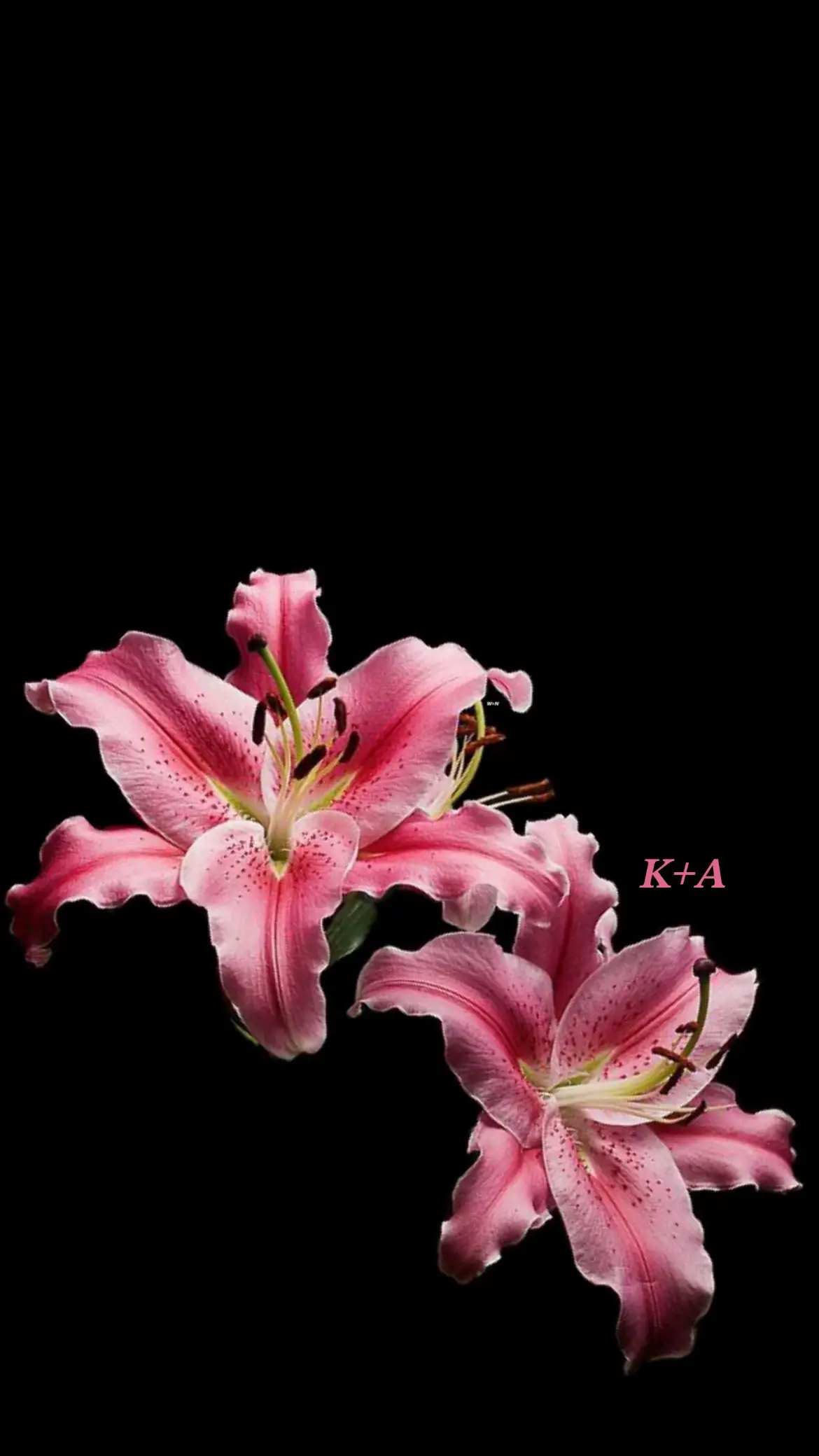 #fyp #flowerswallapers #initial #Love #flowers 