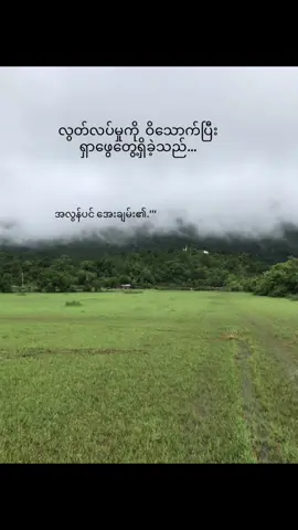 #မောင်ထက်ဝေယံ# #ဝိ# #fypp 