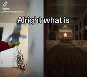 DonaldDucc is better than Skibidi Toilet