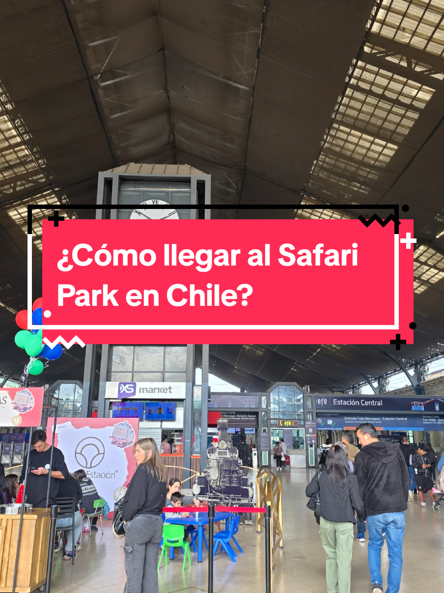 Respuesta a @yulysansan  🤓He visto que no atienden los lunes en el Safari Park, pueden llevar su comida si desean más info aquí les dejo el link de la web: https://www.parquesafari.cl/  Grandiosa experiencia a 1 hora y media de Chile!🤩  #safaripark #chile #rancagua #leones #fyp 