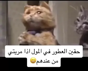 حسبي الله عليهم بس 😂#fyppppppppppppppppppppppp