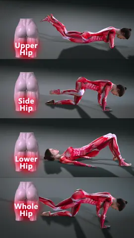 Target Every Part of Your Hips 4 moves for strength & mobility — upper, side, lower, full. Train smart with @fitonomyapp #hipworkout #fitonomyapp #gluteworkout #homeworkout 