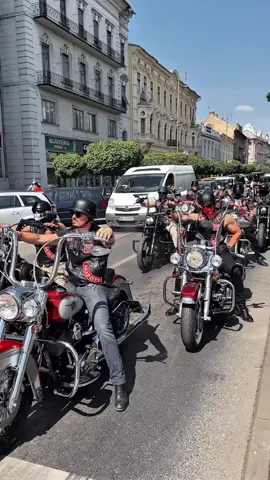 Green means go! #haleydavidson 