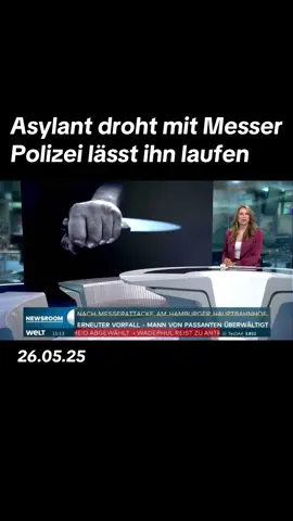 #politik #bundestag #regierung #asyl #migration #flüchtlinge #hamburg #afd #fürdich 
