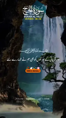 SURAH AL HAJJ🍂🍁 VERSES(36+38🥀🕊️💯❤️‍🩹 #creatorsearchinsights#translationinurdu #unfreezemyacount #foruppppppppppppppppppppppp #2Mveiws🤘🏿🤘❤️🖤 #shehzadiqueen🔥👑🦋 