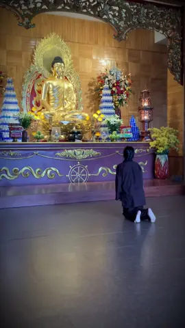 Kính lạy Phật 🙏 Nếu như con đã làm cho ai đau khổ hoặc tổn thương bằng lời nói hay hành động, con xin thành tâm sám hối🙏 🪷Nguyện cho oan trái giữa con và họ đều được hóa giải hết, và con cũng hoàn toàn tha thứ cho những ai đã từng làm cho con đau khổ, tổn thương bằng lời nói hay hành động... 🪷Nam Mô Bổn Sư Thích Ca Mâu Ni Phật🙏 #phatphapnhiemmau #phatphapvobien #huongquynh #xuhuongtiktok #chuaphuclac 