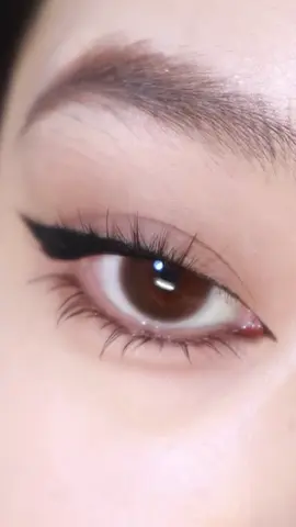 Crisp wings coming right up 🪽 ID:69446284 #Eyeliner #eyelinertutorial #makeuptips #makeuptutorial #eyelinerhack #SHEGLAM #sheglam #SHEGLAMeyeson
