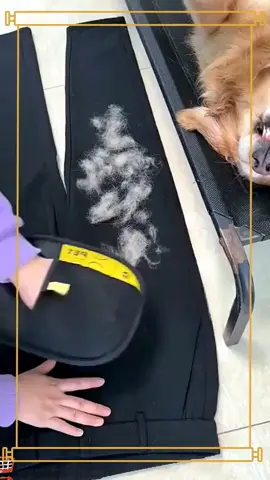 🧤 Say goodbye to messy grooming sessions! YomiPaws Grooming Glove makes brushing your furry friend a breeze. ✨️🐾 Perfect for all pets! 🐶🐱 Get yours today! Link in bio! ❤️