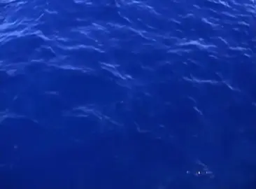 إيريك باولز عن الأزرق 