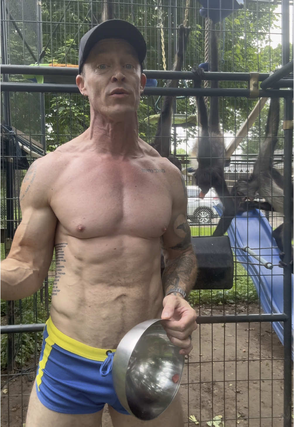 Here’s to your Memorial Day! Show gratitude for those who served our amazing nation… have a great week!  #memorialday #monkey #monkeysoftiktok #spidermonkey #monkeys #rescue #spartn #winston 