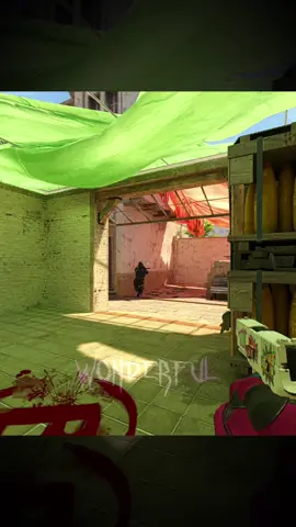 #wonderful #csgo #cs2 #cs2beta #w0nderful #nav #cs2moments #cs #major #твич #twitch #twitchmoments 