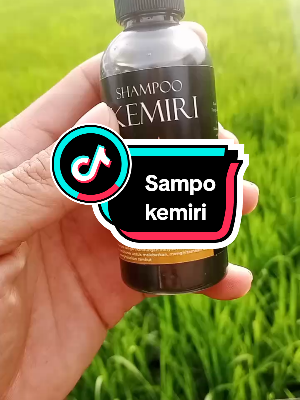 atasi rontok dan botak #sampo #kemiri #rambutmaksimal 