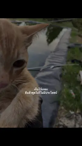 🖤#เธรด #ความรู้สึก #เอาขึ้นหน้าฟีดที #เงียบ #fyp #ฟีดดดシ 