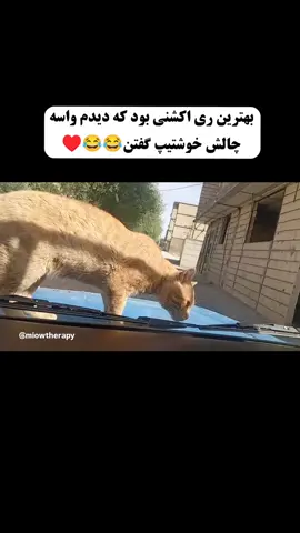ته چالش 🫥😐