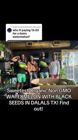 Replying to @SpartanXpill A Watermelon lover will go to Great Lengths to Get a Great Watermelon! #thaalkalinehour #foryouuupage #forryupage #seededwatermelon #seededfruit #dallas 