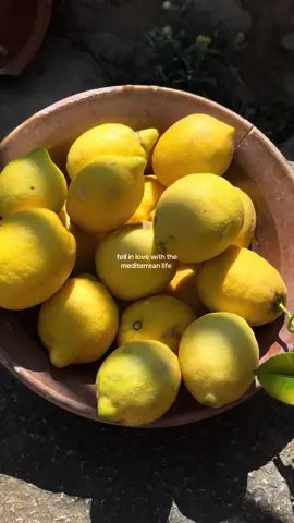🍋🍋 #mediterranean #europesummer #Love #aesthetic #citrusfarm #mallorca #fyp 