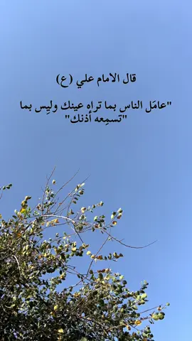 #اقوال_الامام_علي_عليه_السلام #اقوال_وحكم_الامام_علي_عليه_الاسلام #مقولات_الامام_علي #عباس_داود #عباس_داود #عباس_داود #عباس_داود #عباس_داود #اشهد_ان_علياً_ولي_الله 