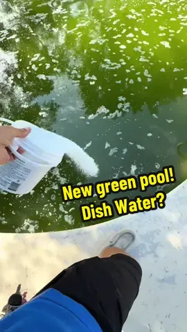 Pool started looking like dishwater… #greenpool #poolcleaning #shocktok #asmr #phosphates #fyp #dishwater 