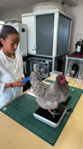 🎉 JEU CONCOURS – Gagnez une formation avec Frigoristes Solidaires ! 🎉 Question : Qu’est-ce qui est le plus lourd, 1 kg de plumes ou 1 kg de plomb ? 🤔 Répondez en commentaire « la poule » ou « les plombs » pour participer ! 🎁 Un tirage au sort désignera le gagnant d’une formation au choix (Ammoniac, CO2 ou Propane) pour un groupe de 6 personnes, d’une valeur de 2900 € ! 📹 Pour vous aider, on a préparé une petite vidéo sur le volume massique avec La Petite Frigoriste. 💡 Bonne chance à toutes et à tous… et que le bon sens l’emporte !