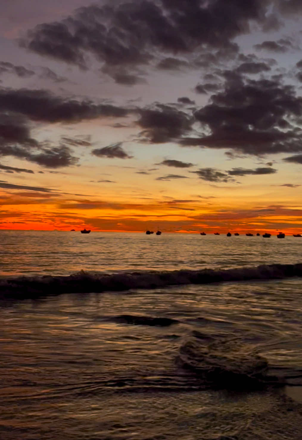 ada yang mau disampaikan?>>> #fyp #sunset #wildflower 