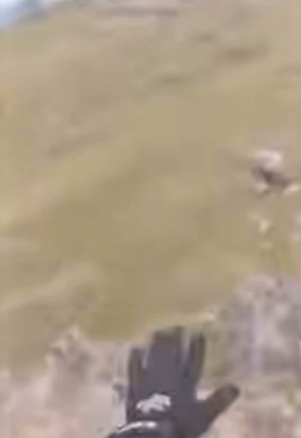 I DONT WANT TO QUIT NO MORE 🗣️🗣️#crash #4youpage #music #musicvideo #vevo 