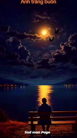 Ánh trăng buồn#Giaitritonghop 