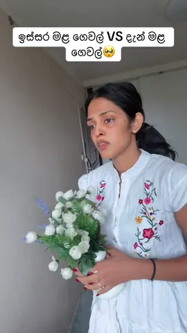 දැන් මළ ගෙවල්😒 #foryou #fyp #trending #music #funny 