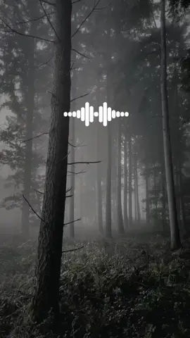 #CapCut #بسم_الله_الرحمن_الرحيم #islamicnasheed🎧🥰 #anasheed_somalia #trandingnasheed #نحن_فتيات_القران 