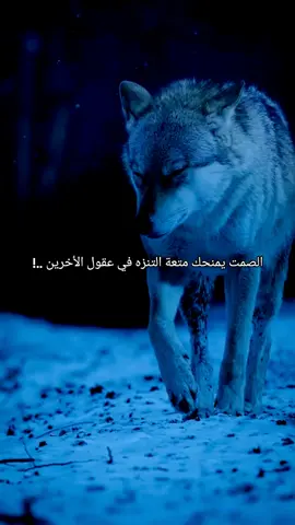 #حالات_واتس #ستوريات #عباراتكم_الفخمه📿📌 #foryoupageofficiall 
